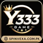 Y333 Game